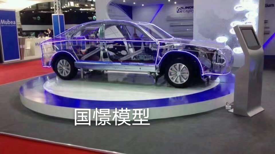 奉新县透明车模型